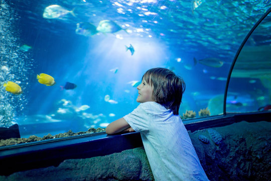 aquarium feature images